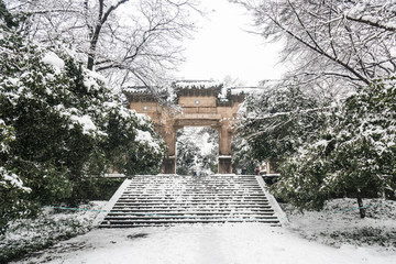 灵谷景区雪景