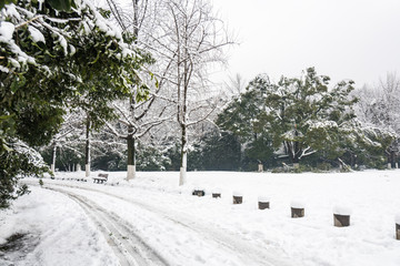 灵谷景区雪景