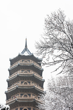 灵谷景区雪景