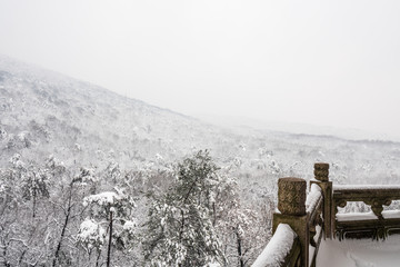 灵谷景区雪景