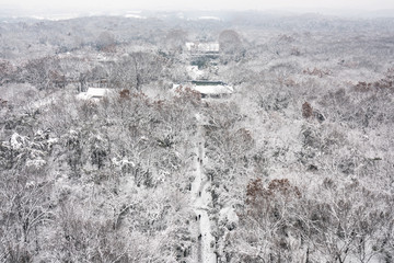 灵谷景区雪景