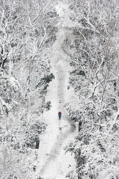 灵谷景区雪景