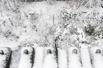 灵谷景区雪景