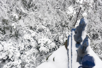 灵谷景区雪景