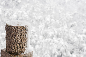 灵谷景区雪景