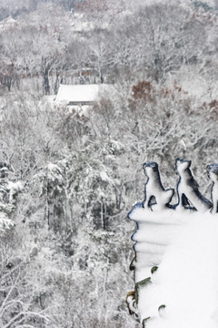 灵谷景区雪景