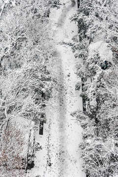 灵谷景区雪景