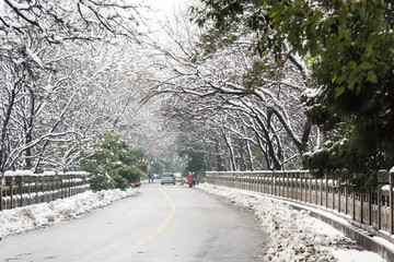 钟山名胜风景区道路雪景