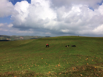 高山牧场