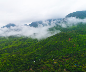 自然景观 雨后的景色