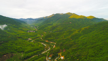 山脉 高山 大山