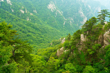 南阳老界岭风景区