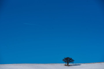 雪景