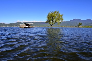 丽江拉市海