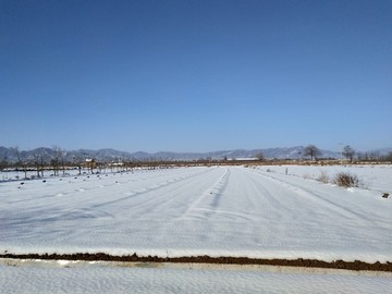 富平县农村雪景