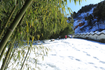 雪景