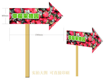 草莓采摘園指示牌