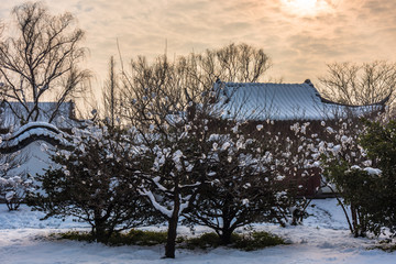 明孝陵景区雪景