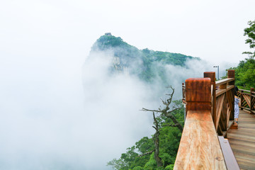 高山云雾