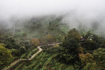 篁岭田园