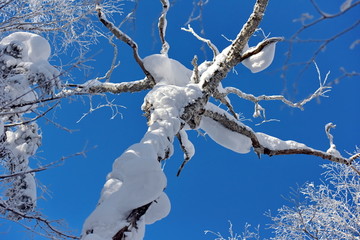 二浪河 雪