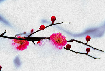 油畫(huà)