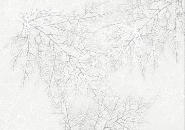 CDR矢量树雪景装饰图案