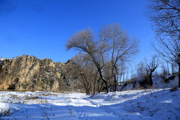 冬天的风景