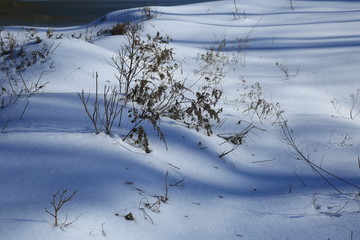 雪地