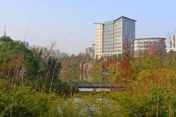 四川师大图书馆 龙湖风光