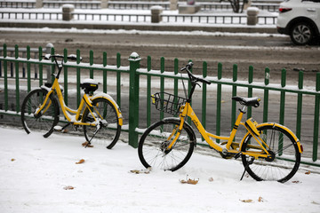 雪中共享单车