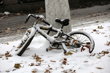 雪中自行车