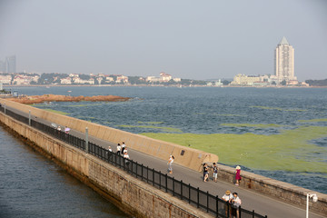 青岛港口