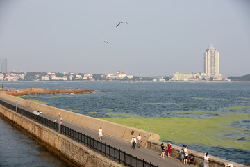 青岛港口