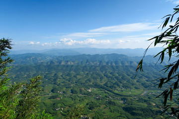 蜀南竹海 川南浅丘