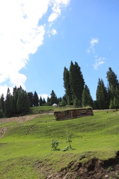 山顶木屋