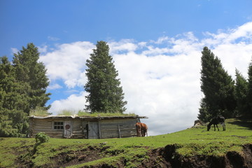 山顶木屋