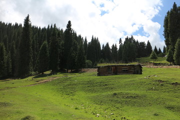 山顶木屋