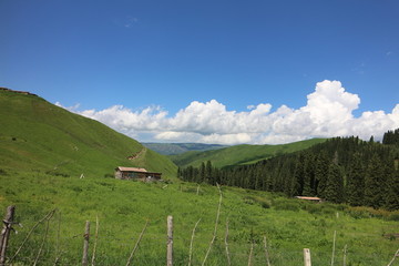 山顶木屋牧人家