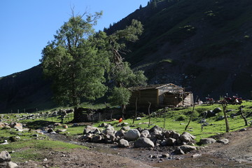 山沟木屋