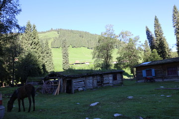 山沟木屋