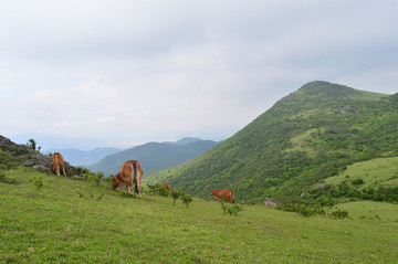 福清大姆山