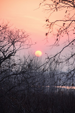 夕阳图片