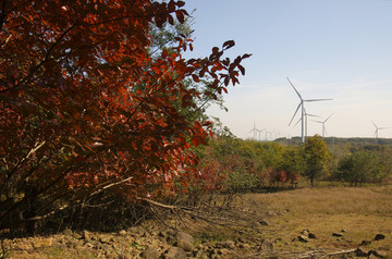 红叶与风电场