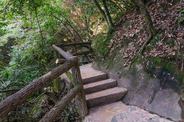 千岛湖森林氧吧