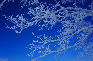 黑龙江牡丹江中国雪乡雪景