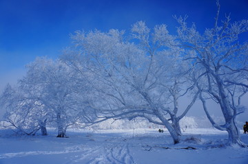 黑龙江牡丹江中国雪乡雪景