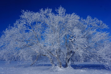 黑龙江牡丹江中国雪乡雪景