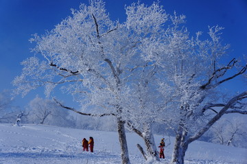 黑龙江牡丹江中国雪乡雪景