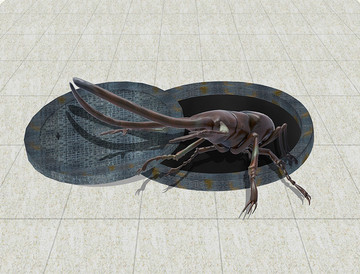 3D甲壳虫地板画